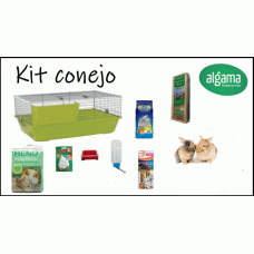 Kit Conejo Enano 